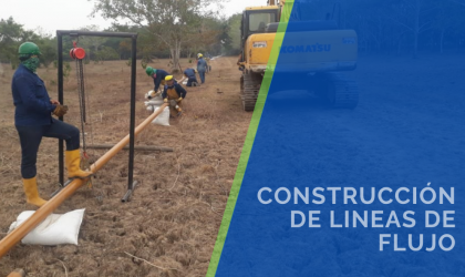 lineasdeflujo